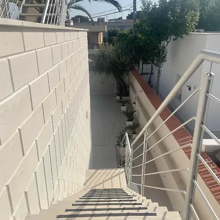 Hollywood Manfredonia